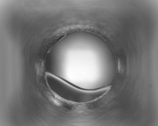 X0000060751492200512011432