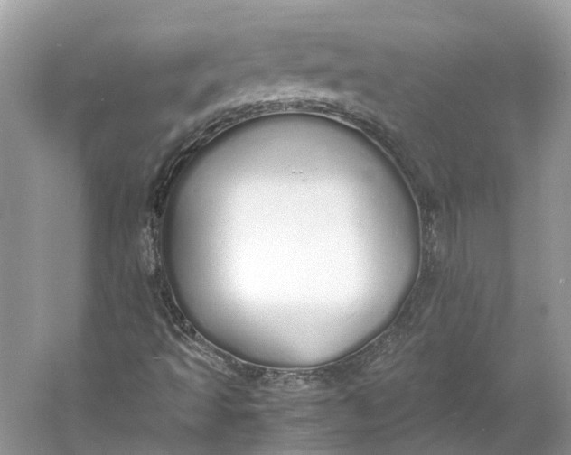 X0000060751493200512011432