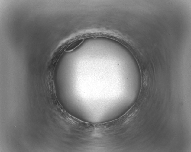 X0000060751494200512011432