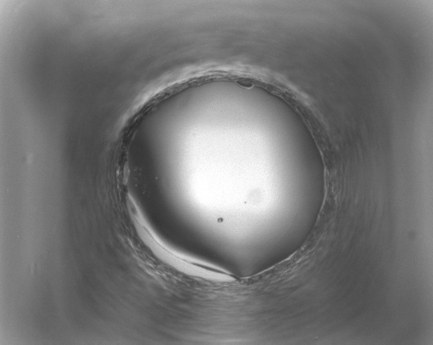 X0000060751496200512011432