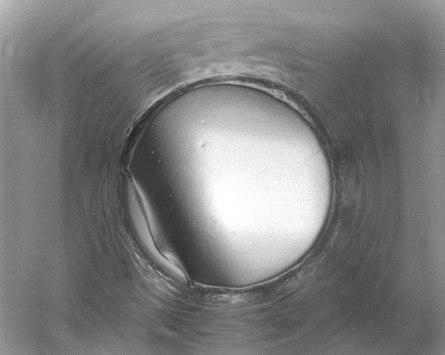 X0000060751497200512011432