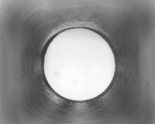 X0000060751498200512011432