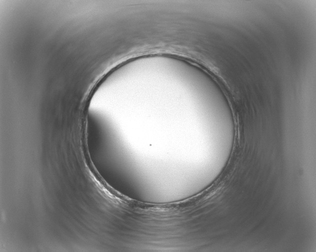 X0000060751500200512011432