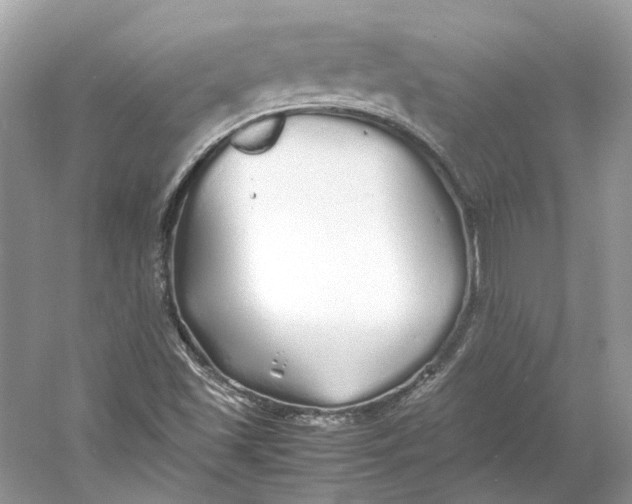 X0000060751501200512011432