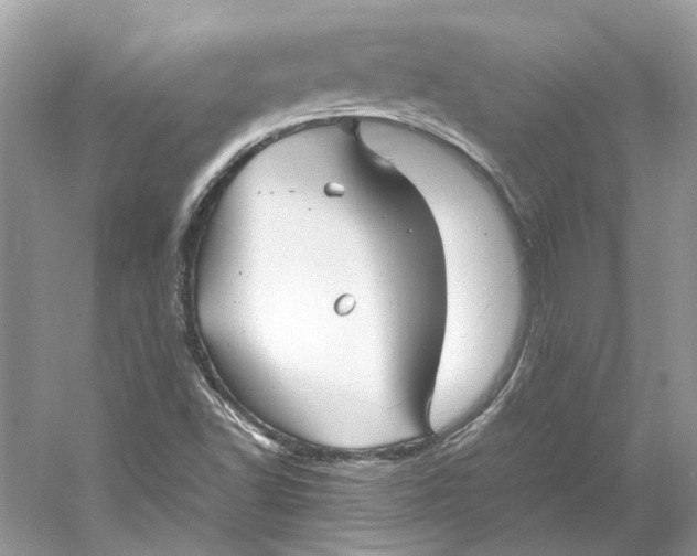 X0000060751502200512011432