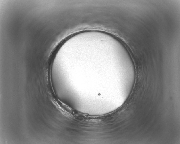 X0000060751503200512011432