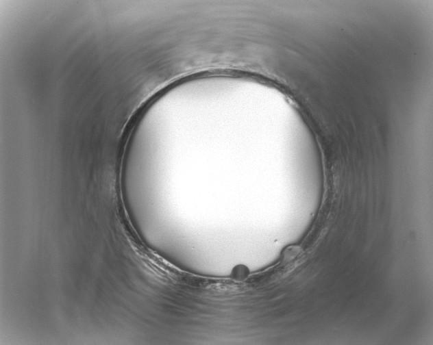 X0000060751505200512011433