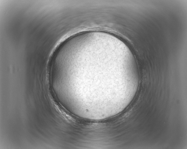 X0000060751506200512011433