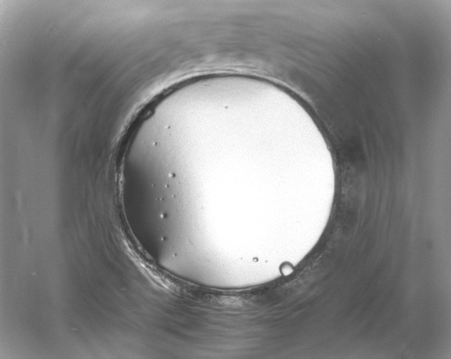 X0000060751507200512011433