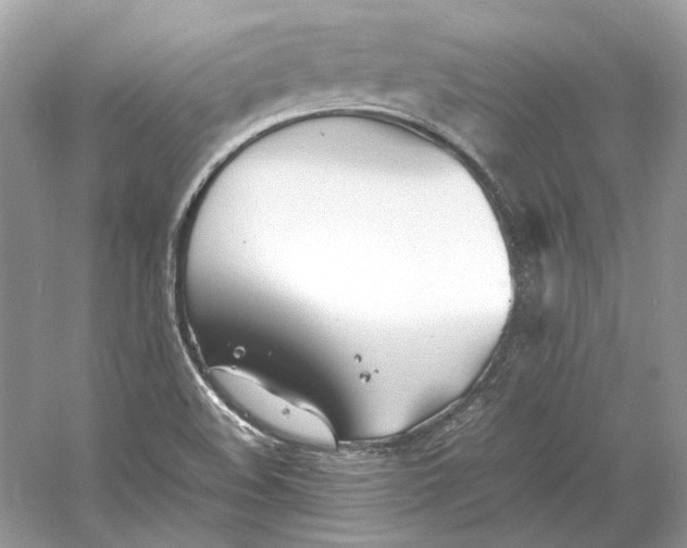 X0000060751508200512011433