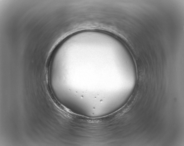 X0000060751509200512011433