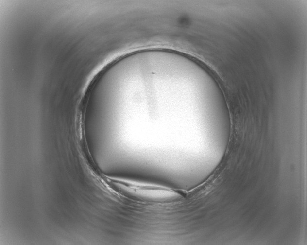 X0000060751510200512011433