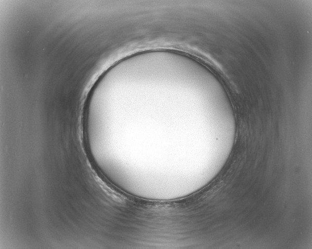 X0000060751512200512011433