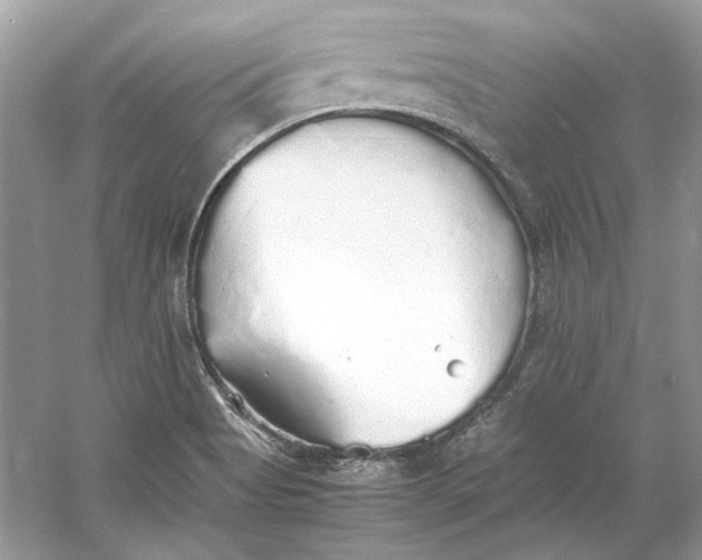 X0000060751513200512011433