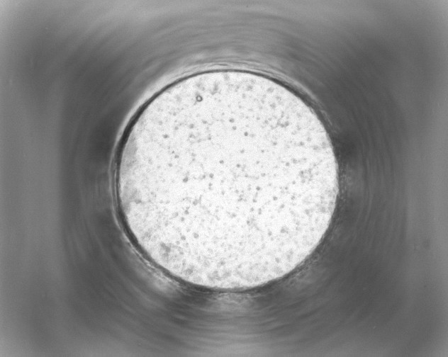 X0000060751514200512011433