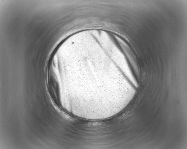 X0000060751515200512011433