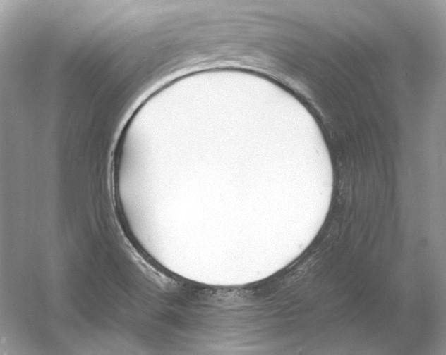 X0000060751516200512011433