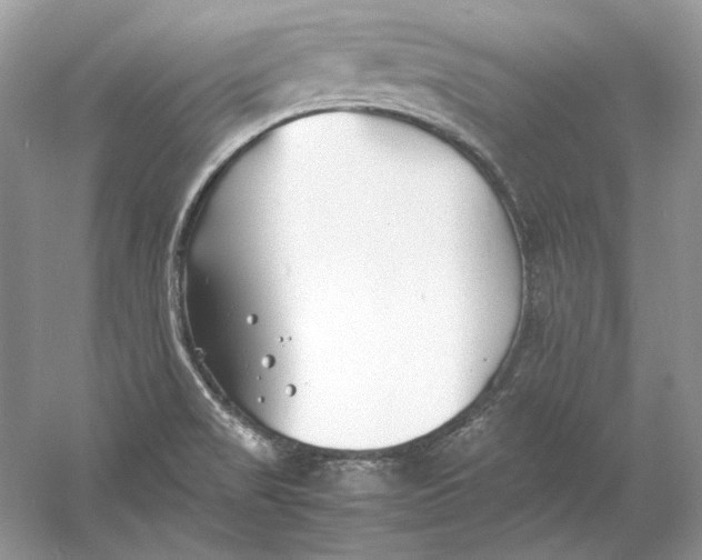 X0000060751517200512011433