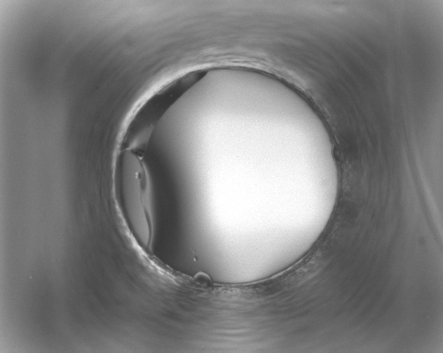 X0000060751520200512011433