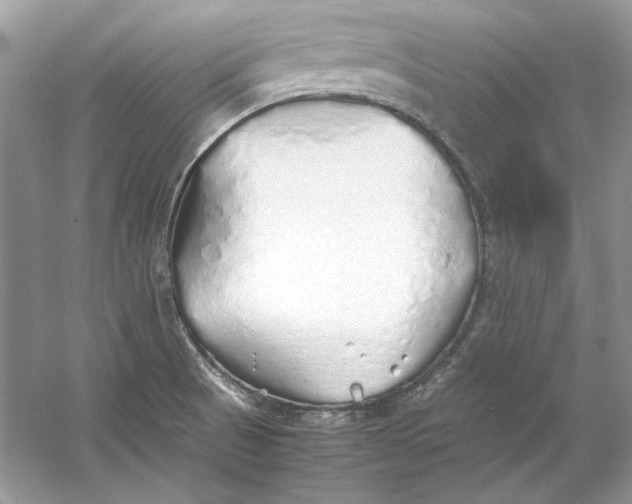 X0000060751521200512011433