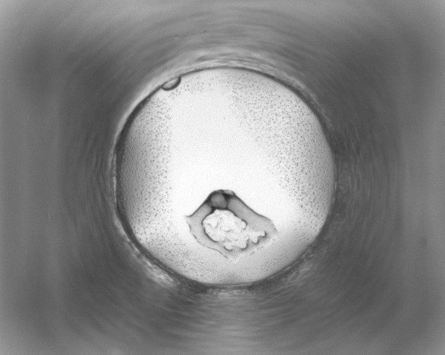 X0000060751522200512011433