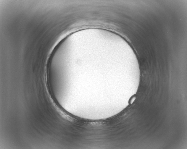 X0000060751523200512011433