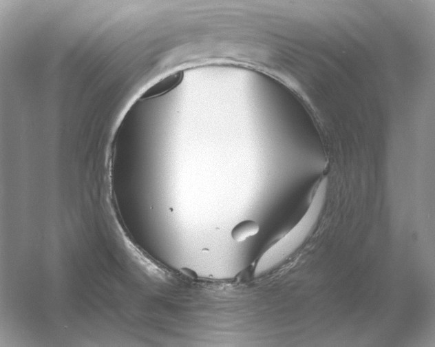 X0000060751524200512011433