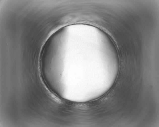 X0000060751525200512011433