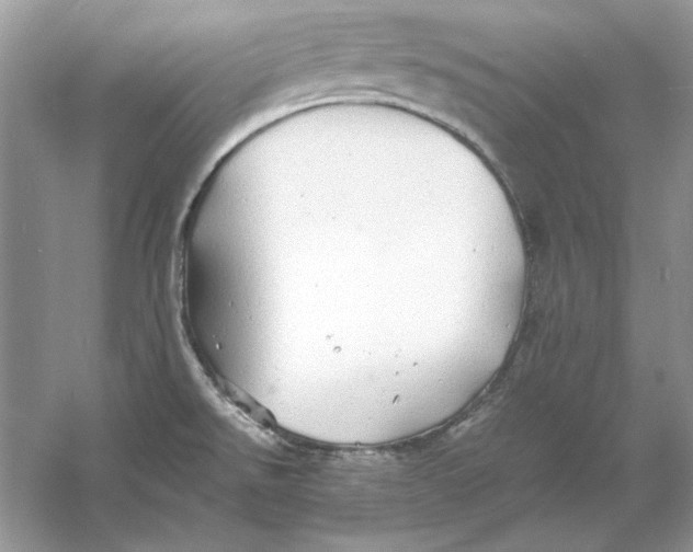 X0000060751526200512011433