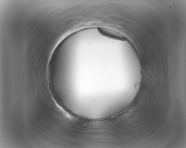 X0000060751527200512011433