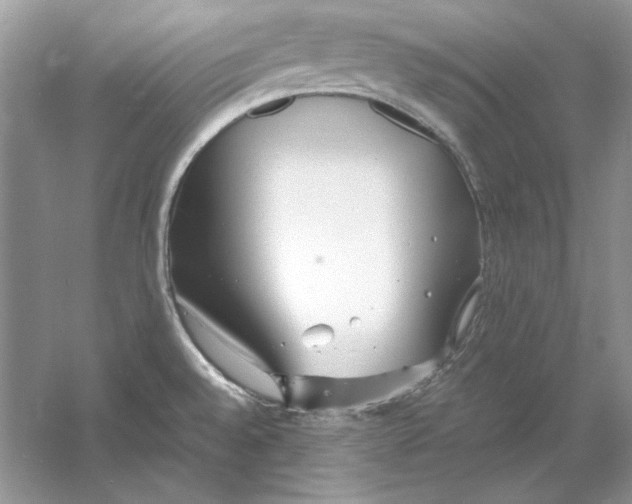 X0000060751528200512011433