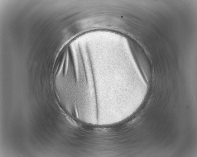 X0000060751529200512011433