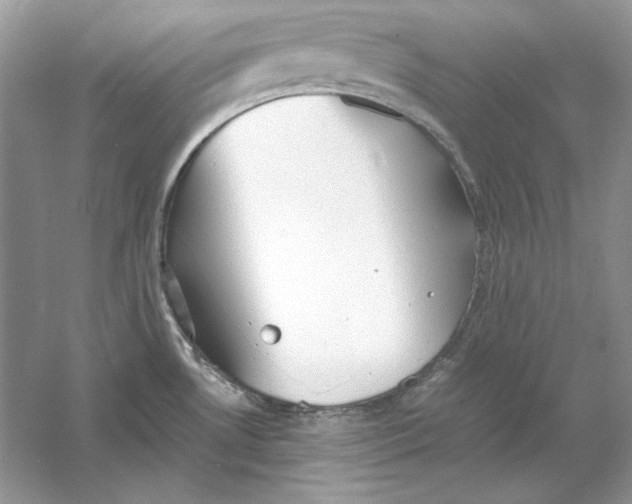 X0000060751530200512011433