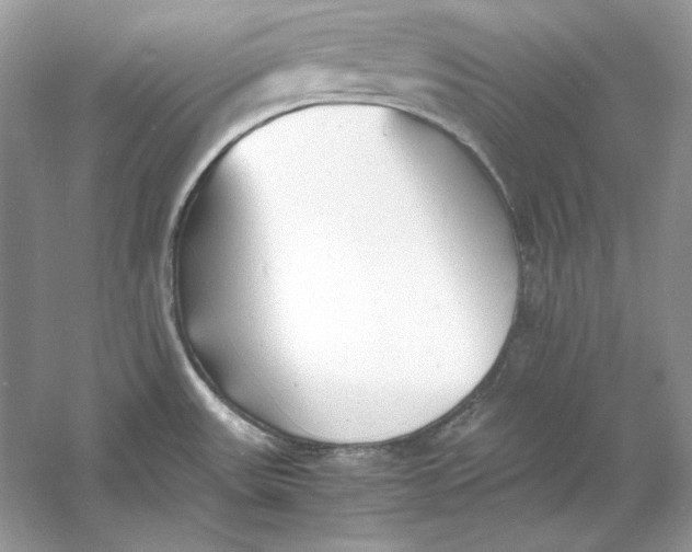 X0000060751531200512011433