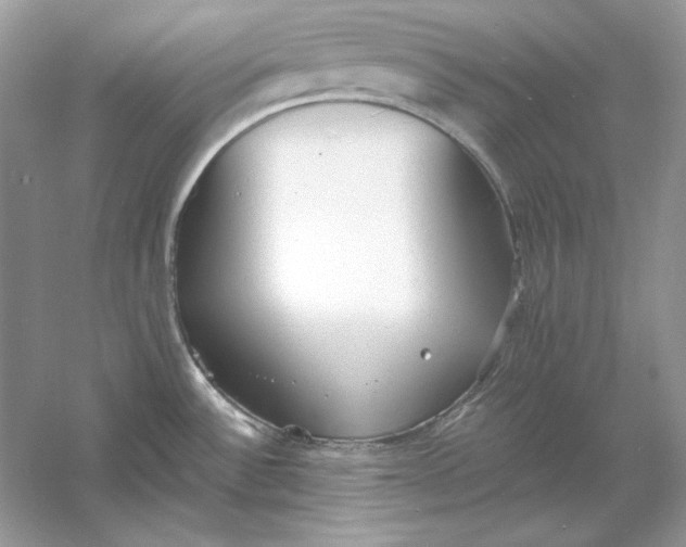 X0000060751532200512011433