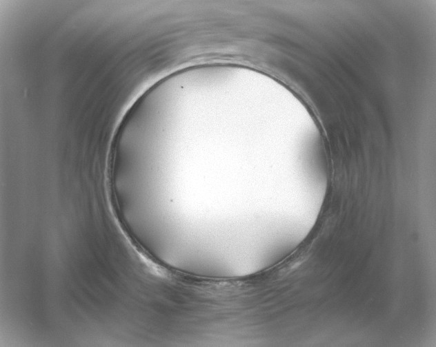 X0000060751533200512011433