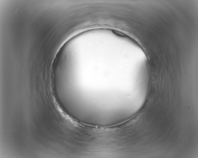 X0000060751534200512011433