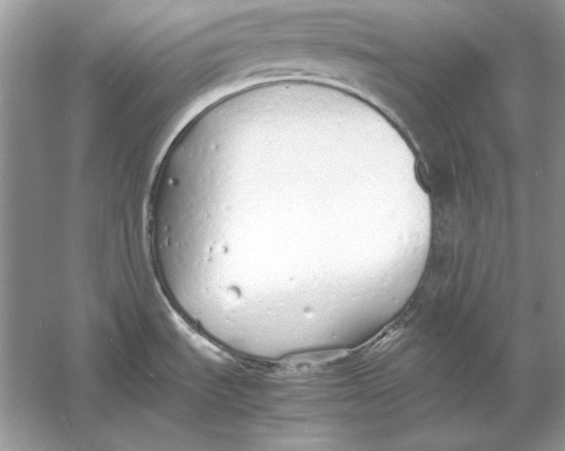 X0000060751535200512011433