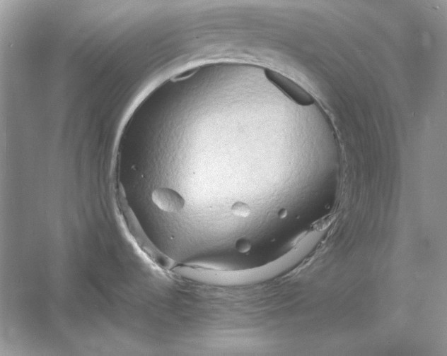 X0000060751536200512011433