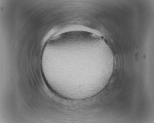X0000060750003200512081955