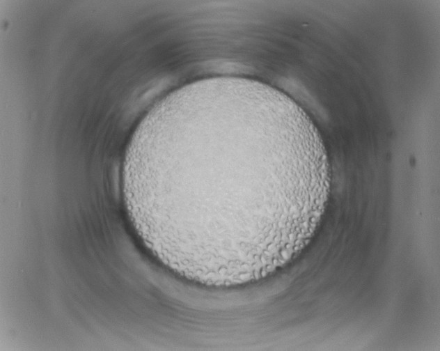 X0000060750014200512081954