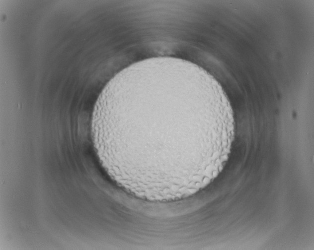 X0000060750030200512081954
