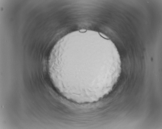 X0000060750038200512081954