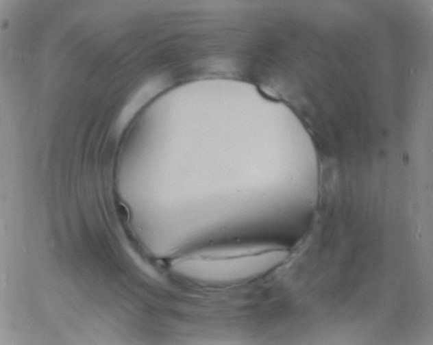 X0000060750051200512081953