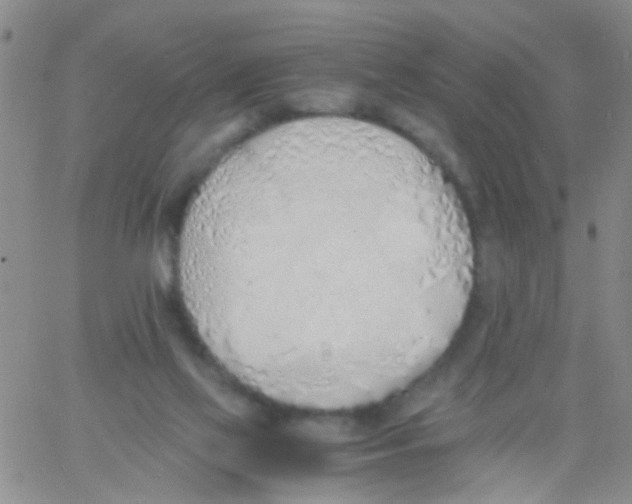 X0000060750069200512081953