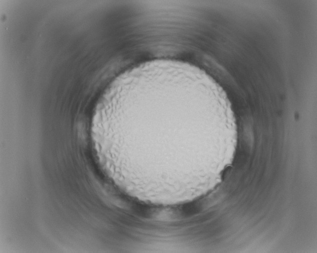 X0000060750074200512081954