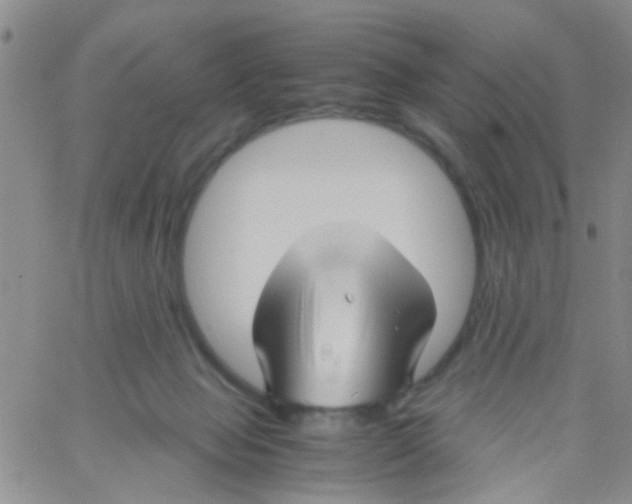 X0000060750077200512081954