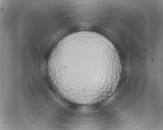 X0000060750082200512081954