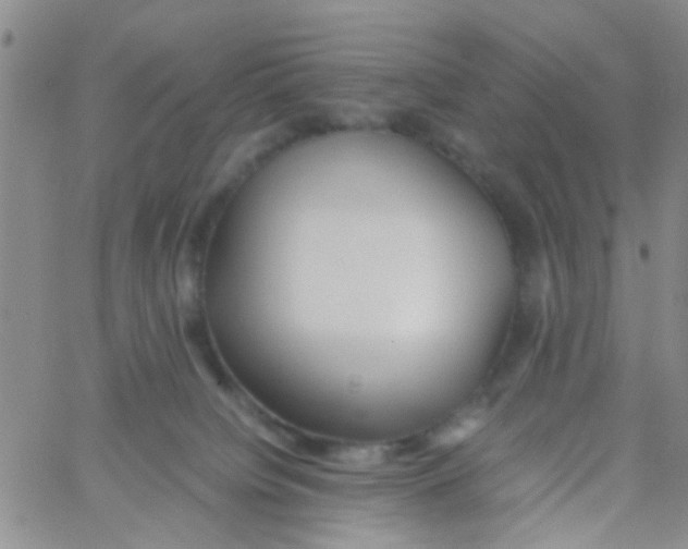 X0000060750084200512081954