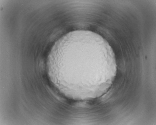 X0000060750086200512081954